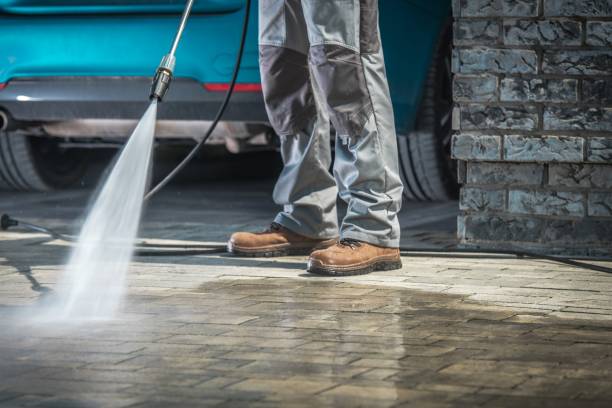 Best Roof Washing  in Fanwood, NJ