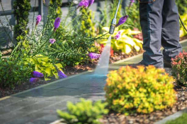  Fanwood, NJ Pressure Washing Pros