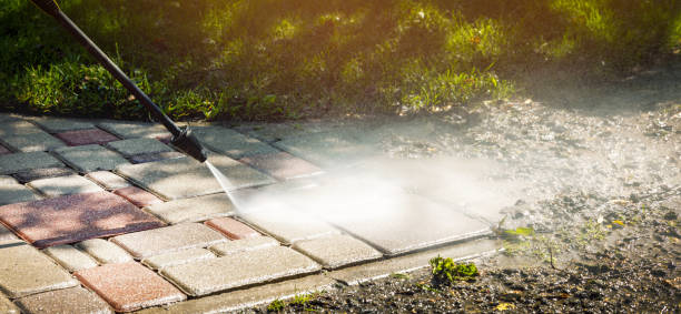 Best Dumpster Area Cleaning  in Fanwood, NJ
