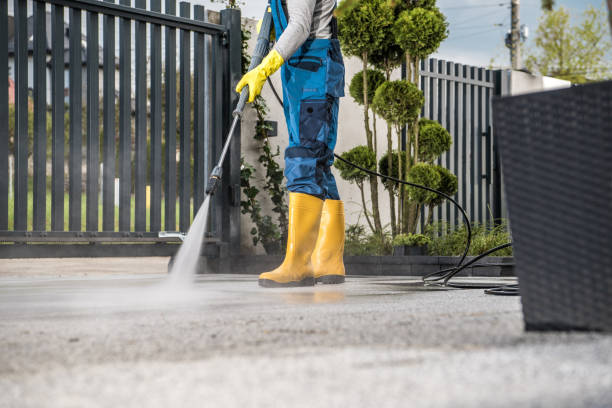 Best Solar Panel Cleaning  in Fanwood, NJ